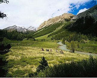 《霍格沃茨之遗》是自2017年以来欧洲销售最快游戏 仅次于FIFA